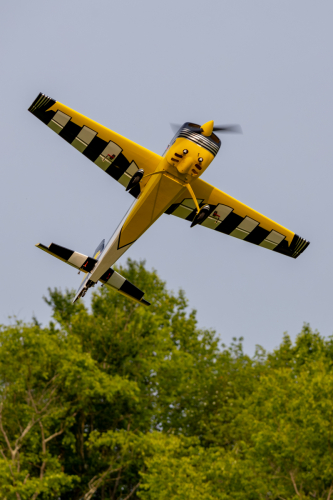 IMG 7462-Enhanced-NR