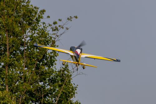 IMG 7467-Enhanced-NR