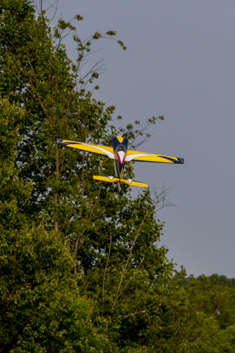 IMG 7468-Enhanced-NR