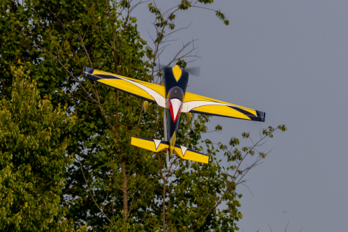 IMG 7469-Enhanced-NR