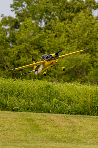 IMG 7491-Enhanced-NR