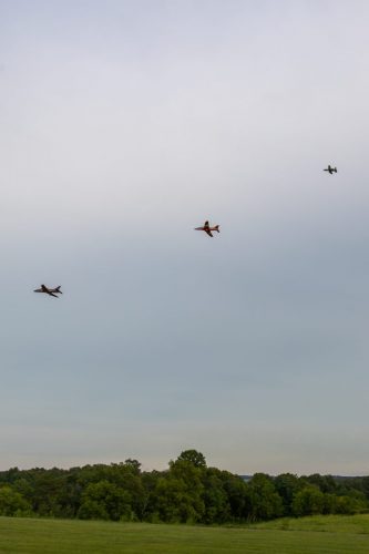 IMG 7668