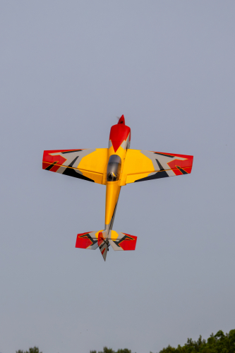 IMG 7745-Enhanced-NR (1)