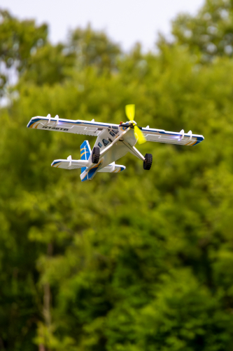 IMG 7783-Enhanced-NR