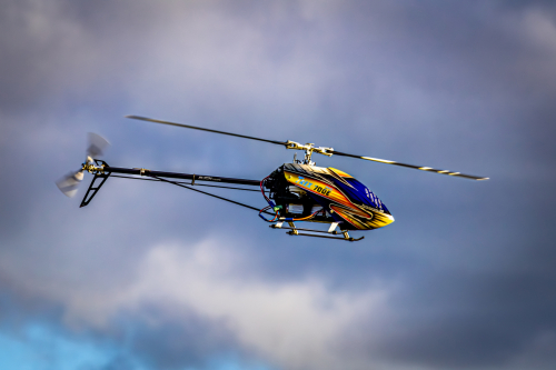 IMG 7824-Enhanced-NR