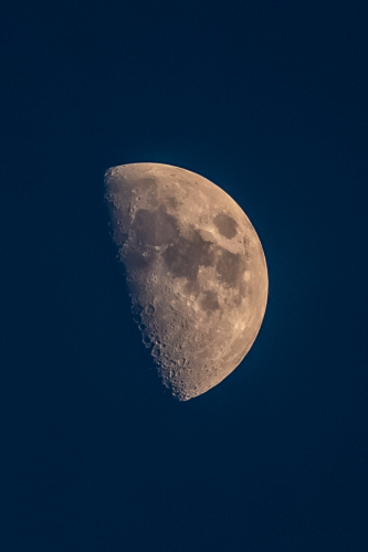 IMG 7827-Enhanced-NR-2