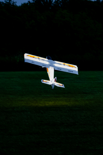 IMG 7878-Enhanced-NR