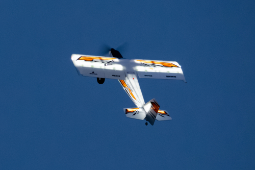 IMG 7911-Enhanced-NR