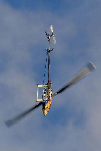 IMG 7930-Enhanced-NR