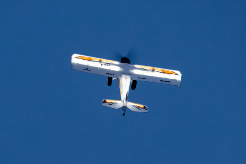 IMG 7938-Enhanced-NR