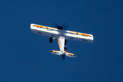 IMG 7941-Enhanced-NR