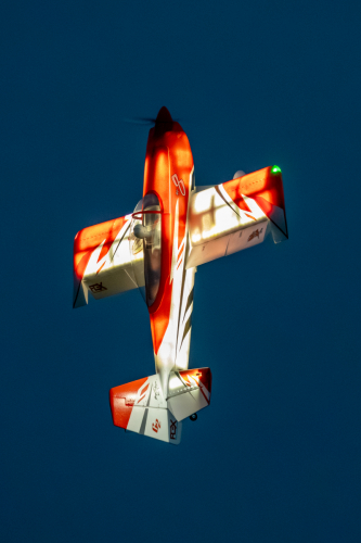 IMG 7954-Enhanced-NR