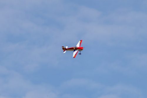 IMG 7960