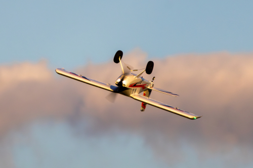 IMG 8027-Enhanced-NR