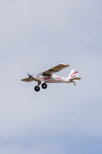 IMG 8086