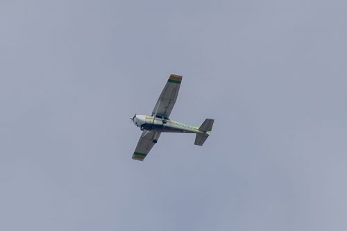 IMG 8154