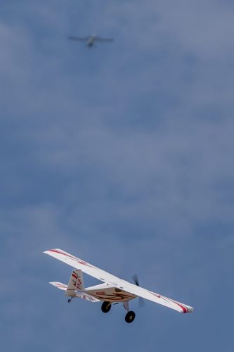 IMG 8186