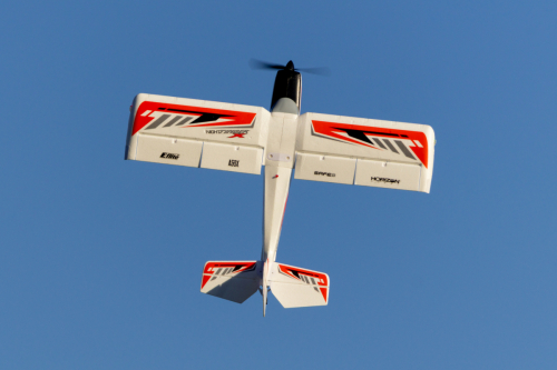 IMG 8236-Enhanced-SR