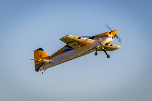 IMG 8245-Enhanced-SR