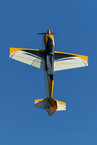 IMG 8257-Enhanced-SR