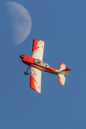 IMG 8301-Enhanced-SR