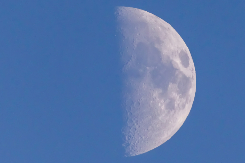 IMG 8461-Enhanced-SR