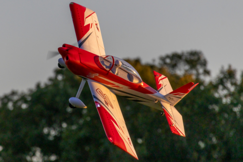 IMG 8490-Enhanced-SR