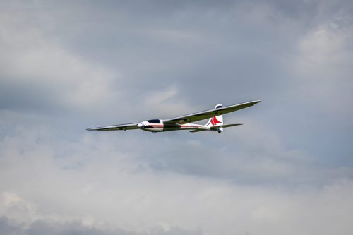 IMG 8525