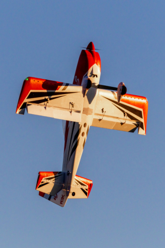 IMG 8565-Enhanced-SR