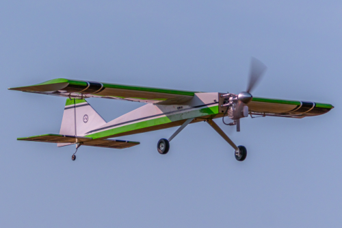 IMG 8668-Enhanced-SR