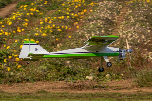 IMG 8697-Enhanced-SR