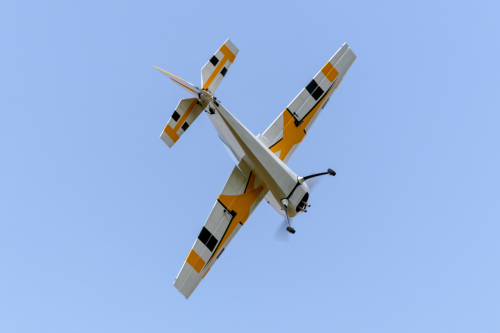 IMG 8706-Enhanced-SR