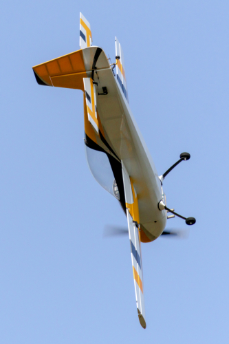 IMG 8710-Enhanced-SR