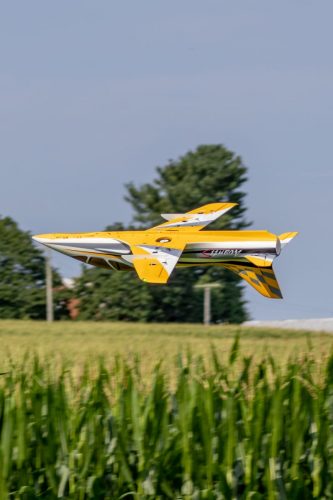 IMG 8760