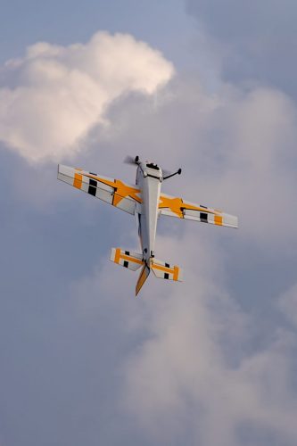 IMG 8776