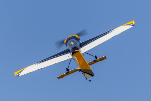 IMG 8800-Enhanced-SR