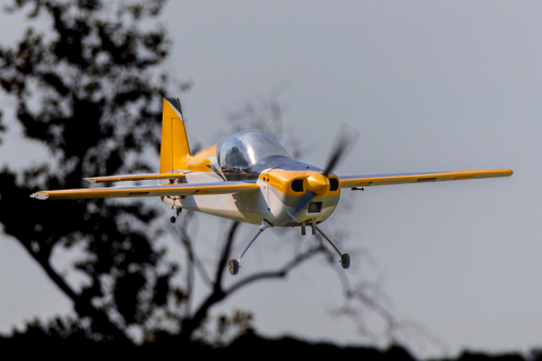 IMG 8838-Enhanced-SR