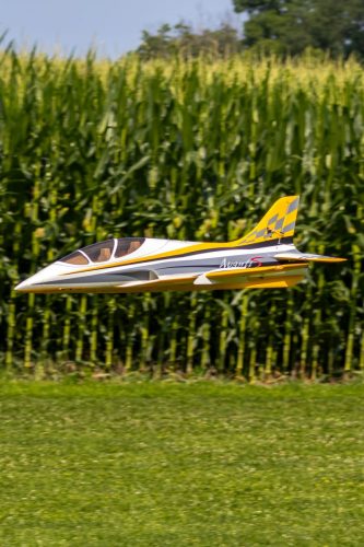 IMG 8856