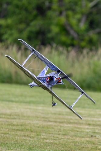 IMG 8872-Enhanced-SR