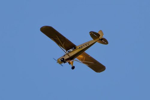 IMG 8885