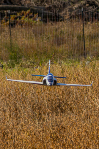 IMG 8966-Enhanced-SR