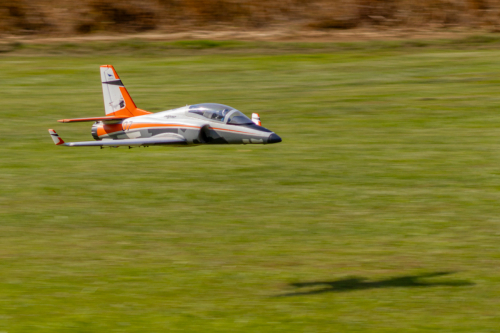 IMG 8986-Enhanced-SR