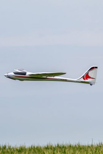 IMG 9008