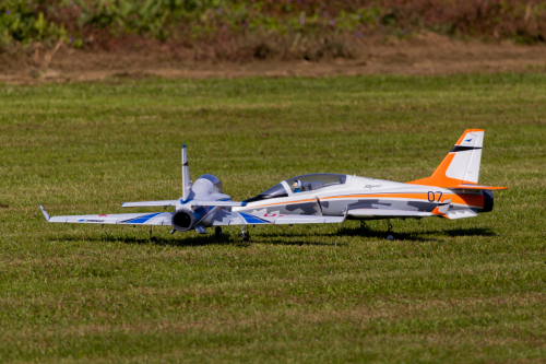 IMG 9039-Enhanced-SR