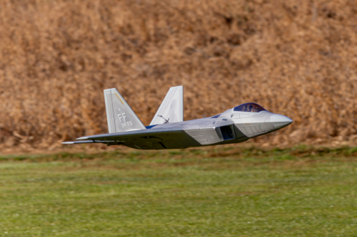 IMG 9134-Enhanced-SR