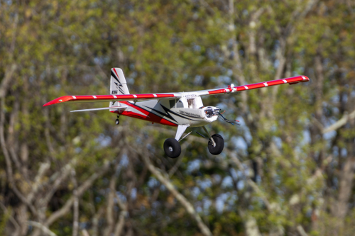 IMG 9218-Enhanced-NR