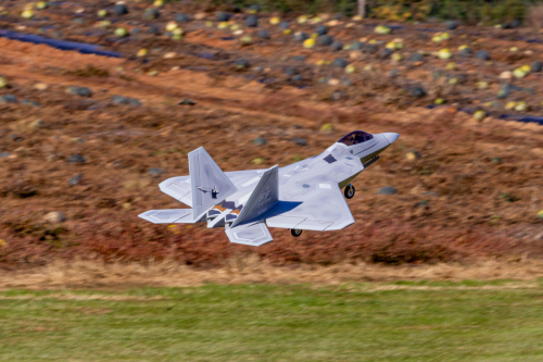 IMG 9346-Enhanced-SR