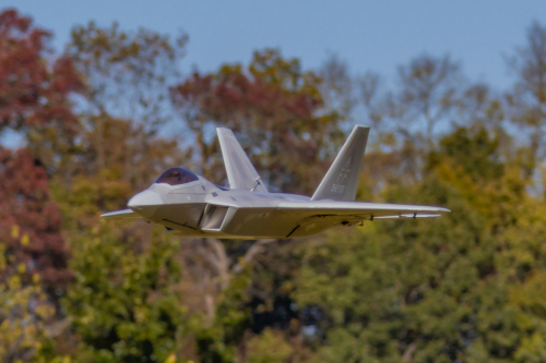 IMG 9419-Enhanced-SR