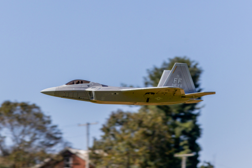 IMG 9449-Enhanced-SR