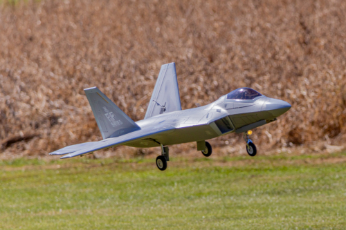 IMG 9551-Enhanced-SR